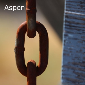 Aspen-name