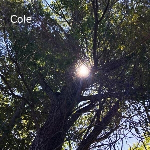 Cole-name