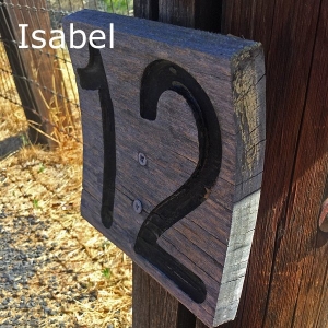 Isabel-name