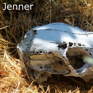 Jenner-skull_edited-1