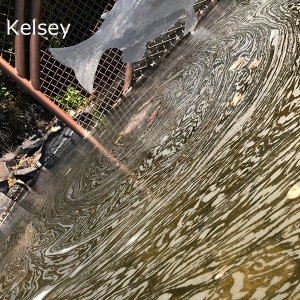 Kelsey-name