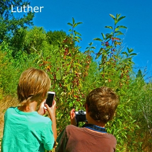 Luther-name