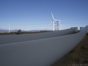 Replacement blades await installation.