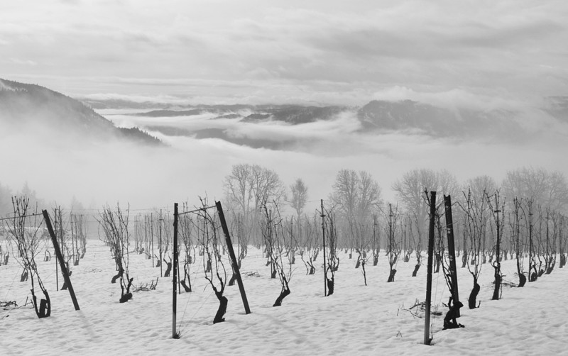 Analemma Winery in the winter.