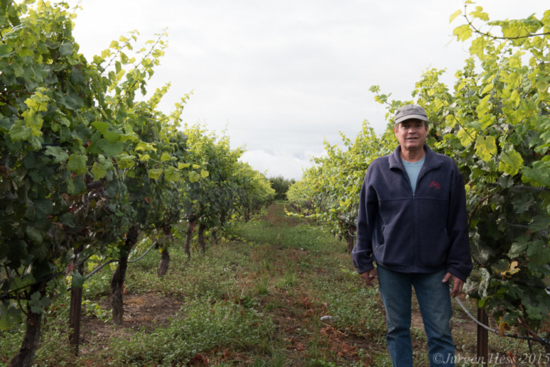 Steve Bickford in his vineyard at Mt. Hood Winery.