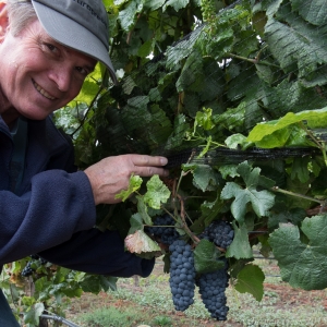 Steve Bickford showing off his grapes at Mt. Hood Winery.