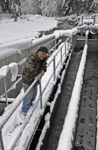 Craig DeHart inspects the section of the plant that was altered to allow safer fish passage in the stream behind.