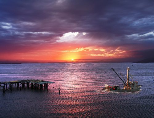 “Unity”: A Fisherpoet’s View of the Columbia