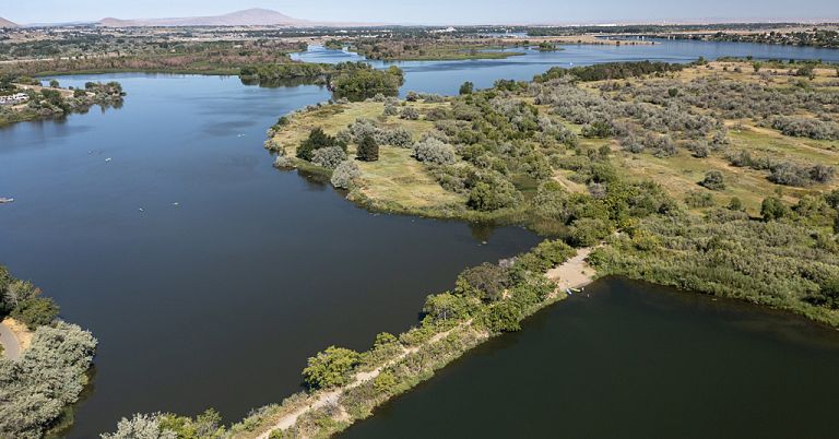 Stagnant waters created by causeway to Bateman Island in Richmond, Washington.