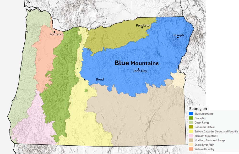 Oregon's ecoregions map