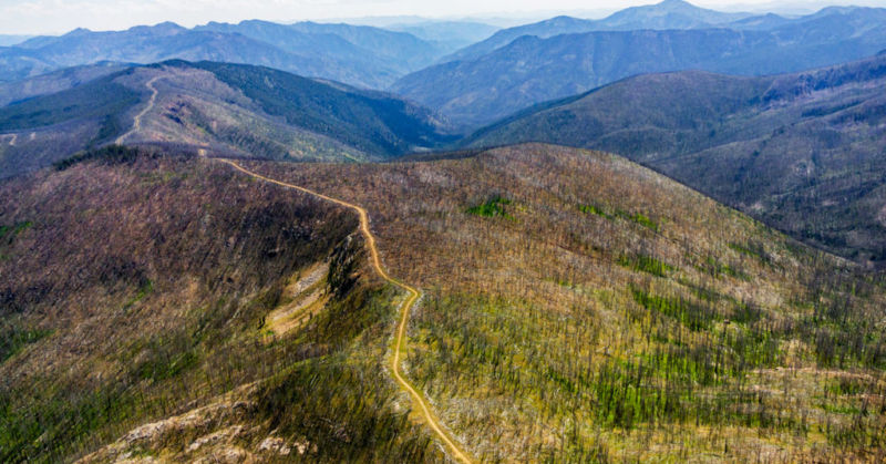 Meadow Creek Lookout Road in Idaho near site of Stibnite Mine by Jane Pargiter/EcoFlight