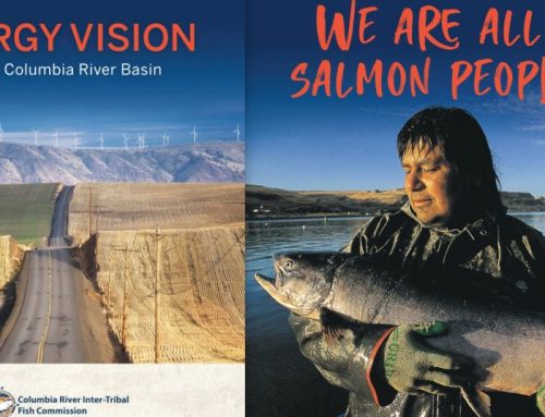 Should dams be used as giant batteries?