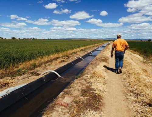 Bills to modernize Oregon water laws await votes in final month of session