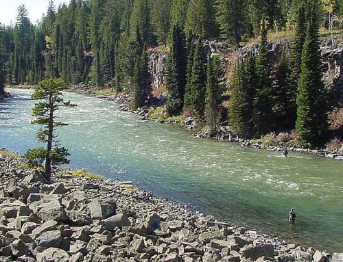 Proposed pipeline would cut through roadless area in Caribou-Targhee National Forest