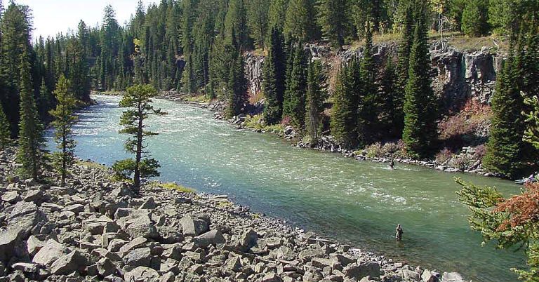 Fishing on the Caribou-Targhee National Forest.