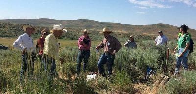 Ranchers rangeland