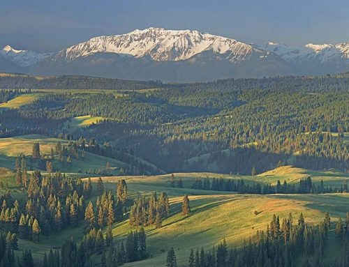 Oregon’s largest ecoregion is at a crossroads