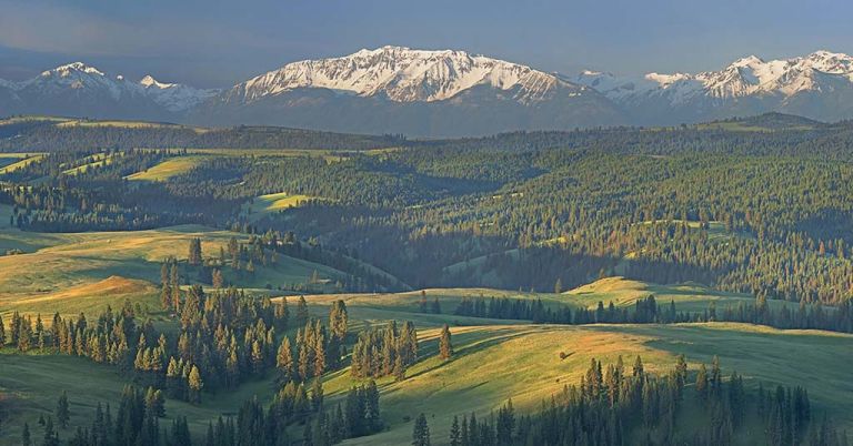 Blue Mountains, Chesnimnus Vista