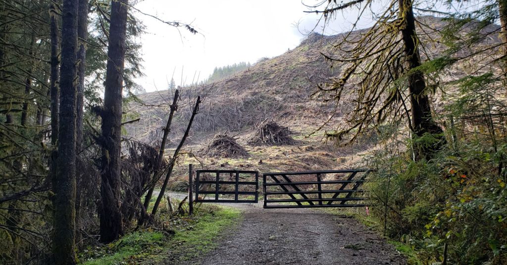 Logging in Willamette Valley, Oregon