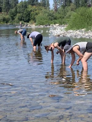 Crayfish search