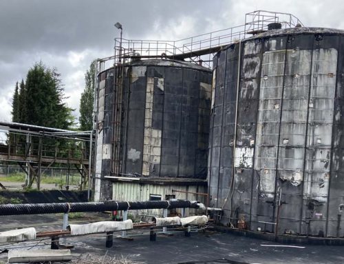 When will this massive hazard on the Chehalis River be neutralized?