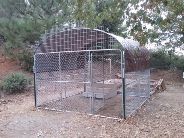 Cougar-resistant livestock pen Mountain Lion Foundation