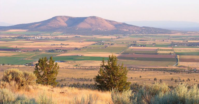 Farmland in Culver, Oregon, taken from atop Round Butte, July 2009