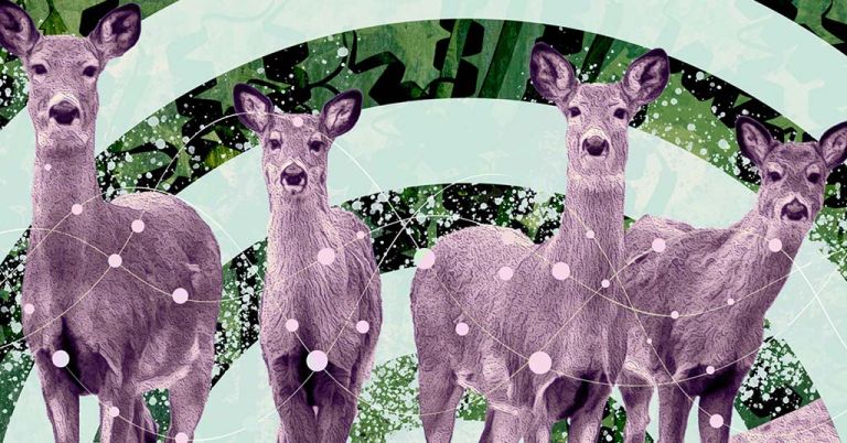 Deer graphic with chronic wasting disease