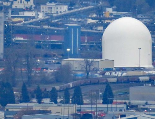 UPDATE: Wood biomass project in Wash. put on hold