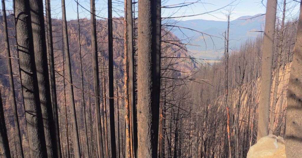 Eagle Creek Fire 2017 photo