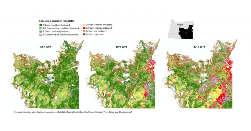 Ecostate Time Series map image pdf