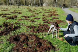 Eileen Wali and dog Lola admiring recently planted trees at Sandy River Delta, 2016