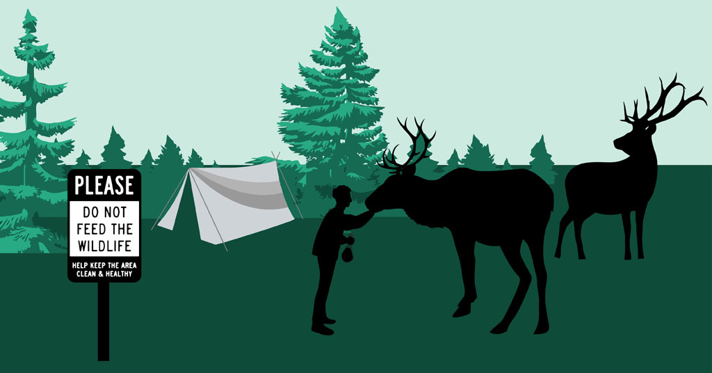 Illustration of people feeding elk at a campsite. By Mackenzie MIller