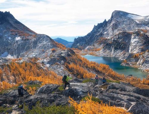 OPINION: The betrayal of wilderness programs didn’t start with Trump