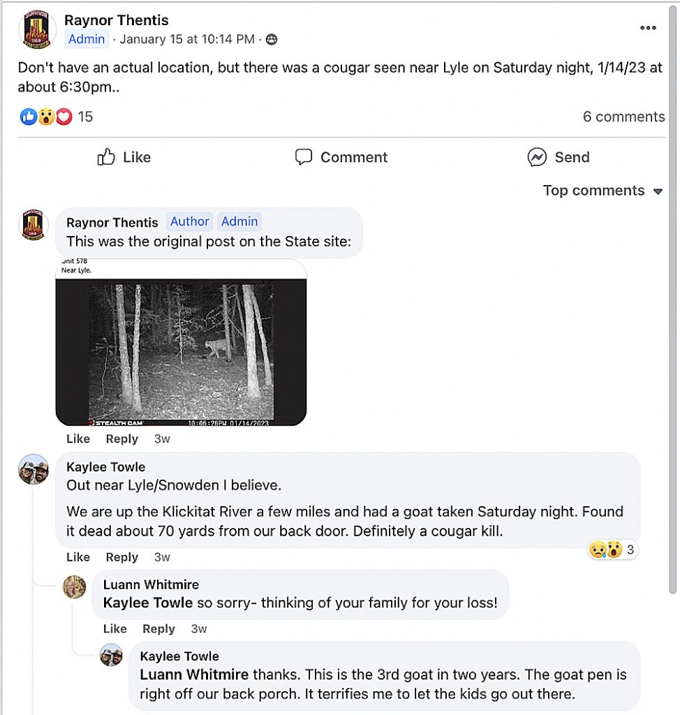 Facebook post regarding cougar sightings in Klickitat County, Washington. by Raynor Thentis