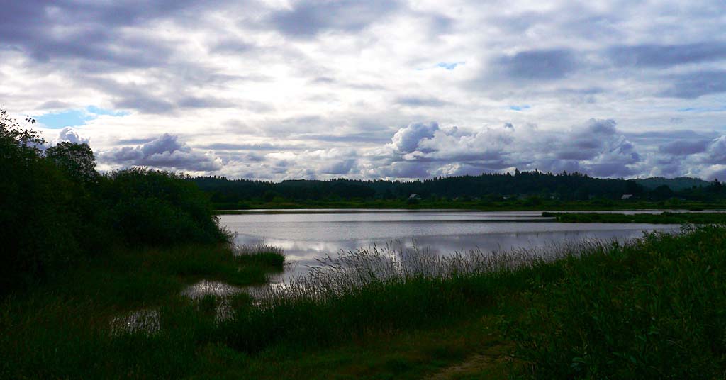 Fern Ridge Wildlife Area Near Eugene, Oregon