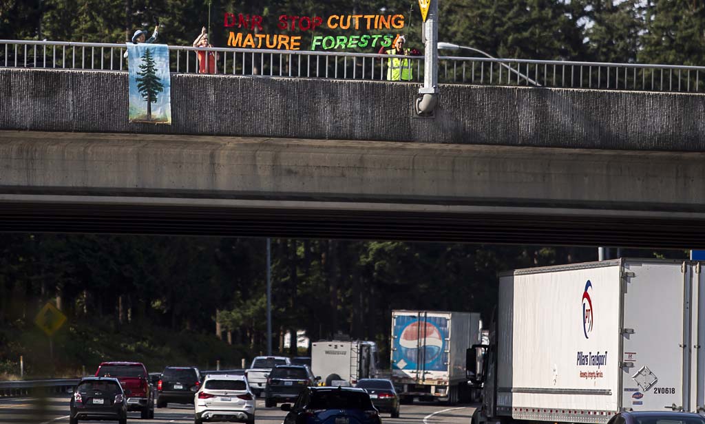 Logging protestors on highway in Washington