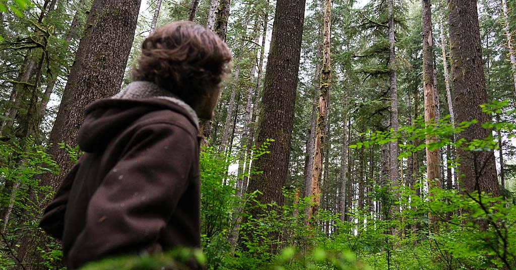 Freedom timber sale