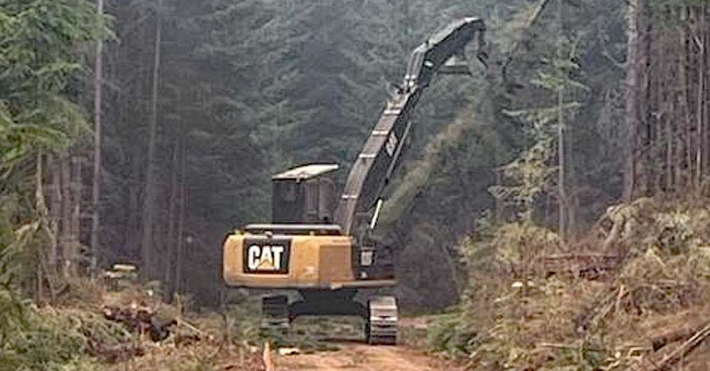 Fuel break construction near Sweet Home, Ore.