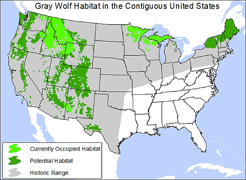 Gray Wolf Habitat Lower 48 map