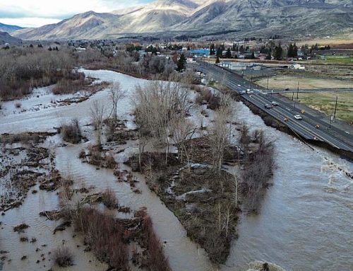 Here’s how December’s floods will impact the environment