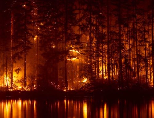 Firsthand account: He evacuated. Hours later the cabin burned