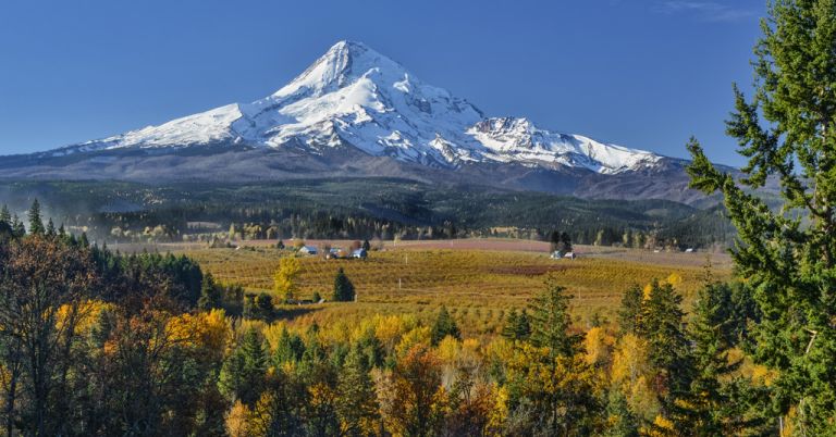 Mount Hood with fall colors.