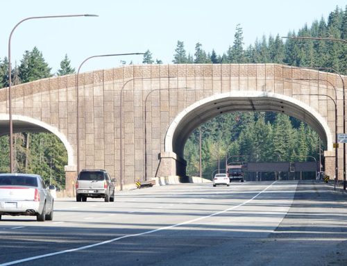 Washington Tribe gets $8.5 million for wildlife overpass