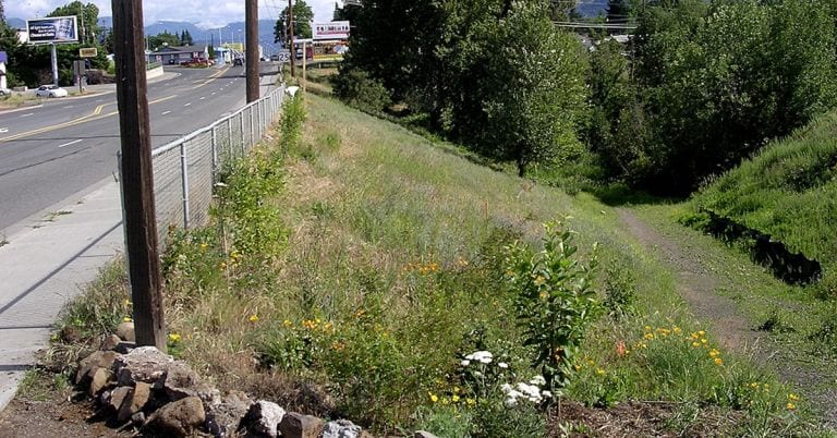 Indian Creek 2003 roadside