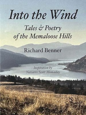 Into the Wind book cover