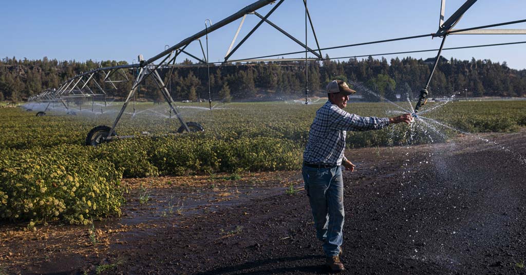 Irrigation sprinkler