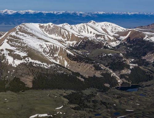 Repeal of roadless rule could mean return of timber wars