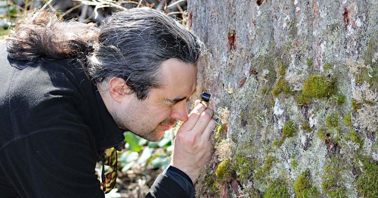 Jesse Miller is the president of the California Lichen Society.