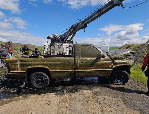 How to clean up a pond: Remove 3 trucks